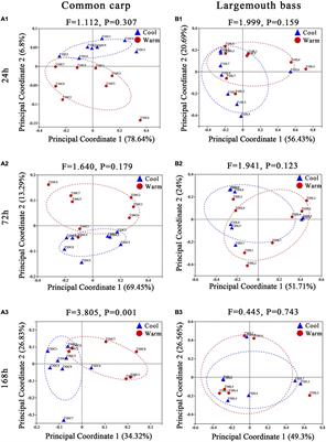 Gut microbiota of two invasive fishes respond differently to temperature